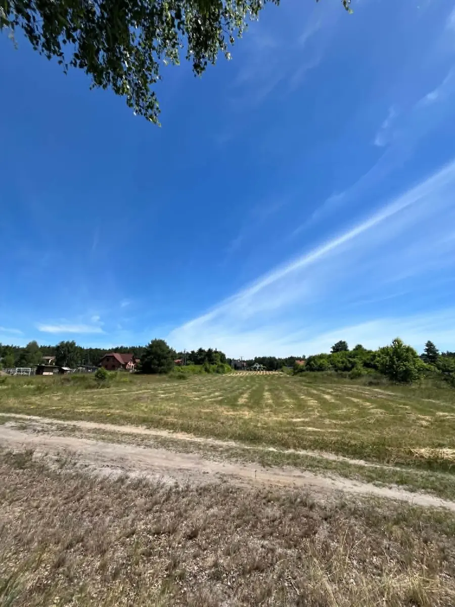 Działka 185/44 — skoszona łąka, w tle zabudowania Oleśnika