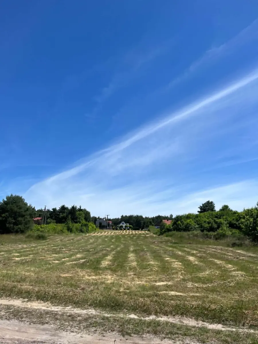 Działka 185/45 — widok w stronę zabudowań